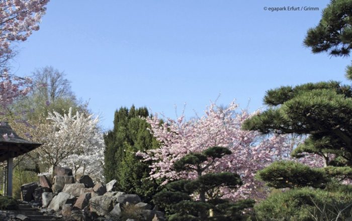 Der EGA-Park im Frühling