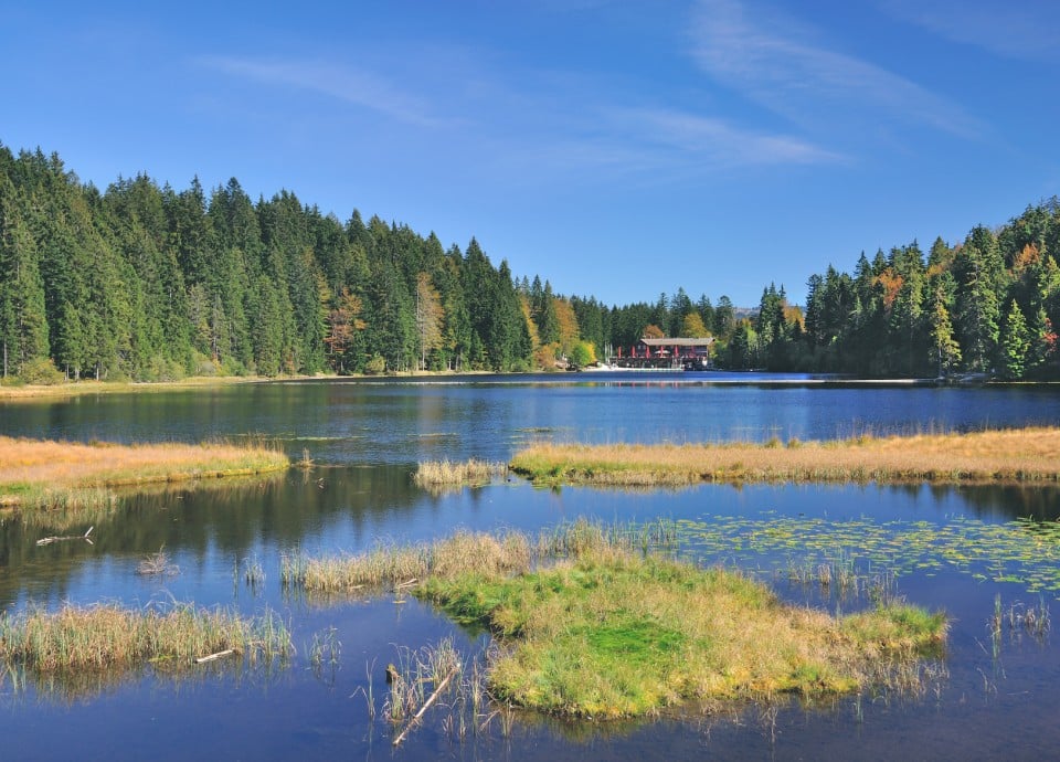 Großer Arbersee im Bayerischen Wald bei Bodenmais