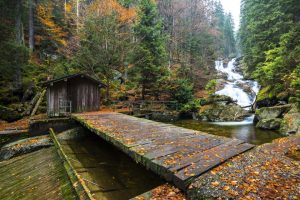 Nationalpark Bayerischer Wald - Wasserfall Rießloch im Herbst