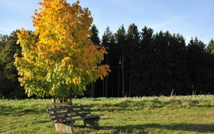 Rottal (Niederbayern)