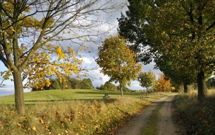 Das Biosphärenreservat in Barnimer Land ist das zweitgrößte in Brandenburg