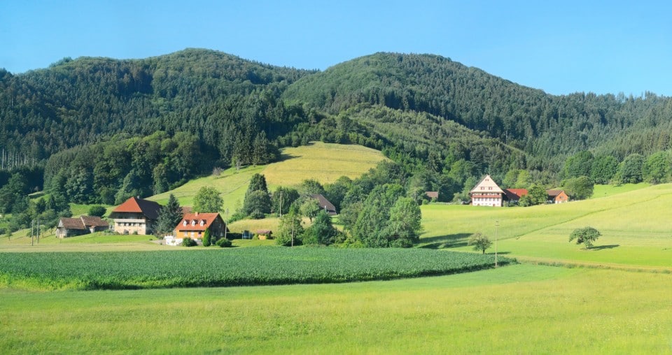 Landschaft im Südschwarzwald