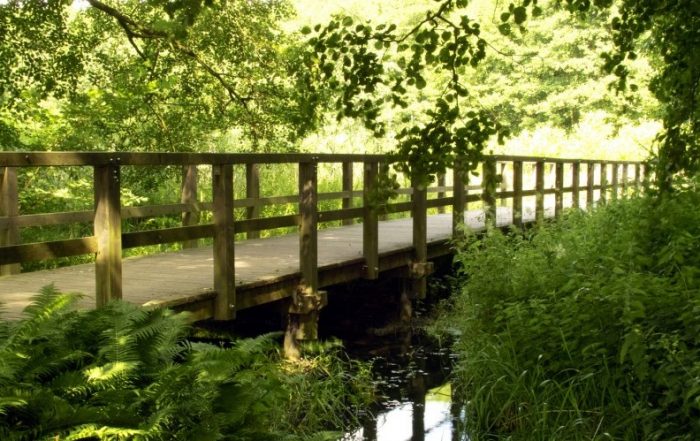 Uferweg am Schwielowsee in Ferch mit einer Holzbrücke zum Überqueren von Feuchtwiesen am Seeufer