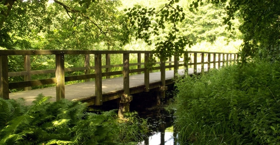 Uferweg am Schwielowsee in Ferch mit einer Holzbrücke zum Überqueren von Feuchtwiesen am Seeufer