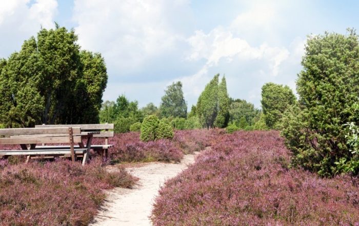 Rastplatz in der Lüneburger Heide
