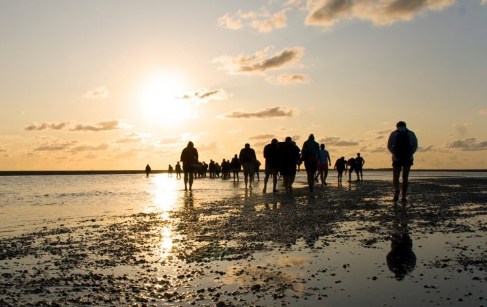 Wattwanderer im Watt in Nordfriesland