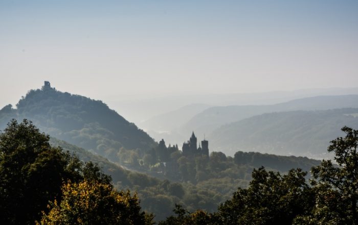 Drachenfels in Königswinter im Morgendunst