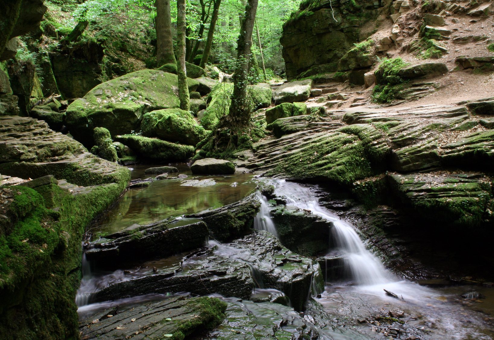 Wasserfall im Monbachtal im Nordschwarzwald