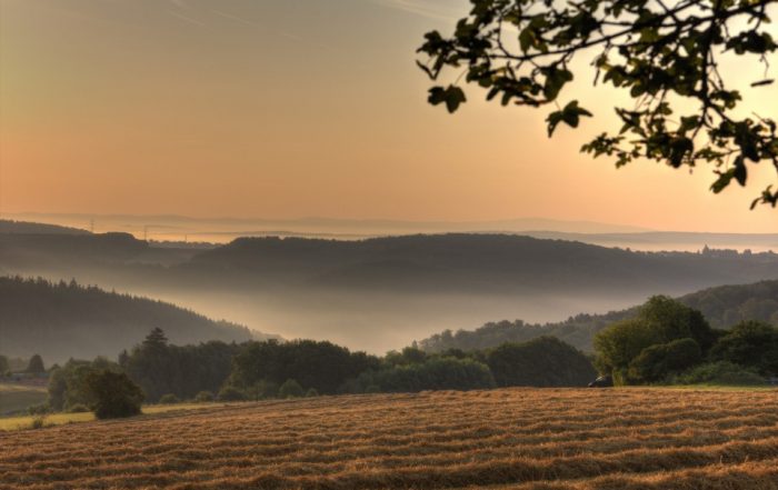 Morgenstimmung im Westerwald