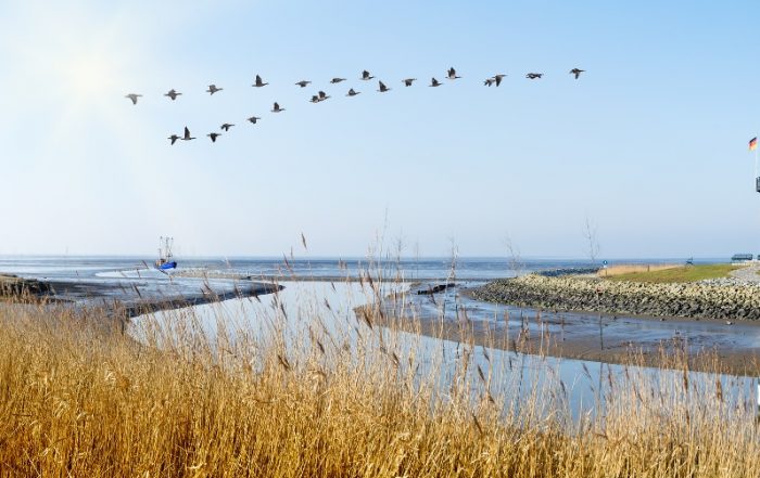 Panorama am Wattenmeer