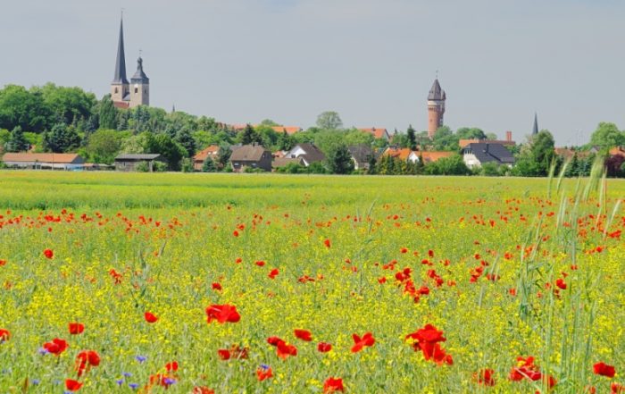 Blick auf Burg bei Magdeburg
