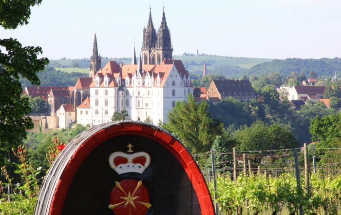 Blick vom Proschwitzer Weinberg auf die Meissener Albrechtsburg und den Dom