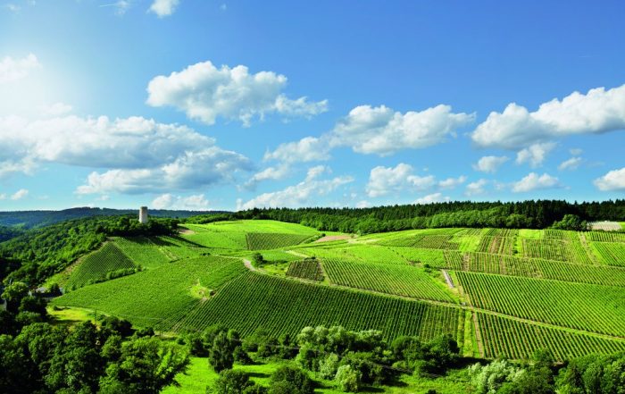 PanoramaTurm- und Gräfenberg