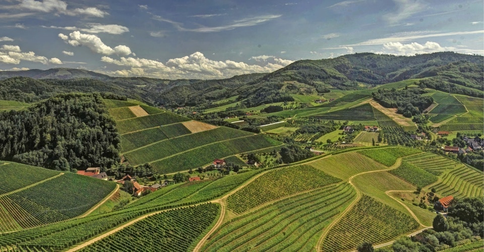 Weinbaugebiet Baden: Exzellente Weine und gemütliche Winzerstädtchen