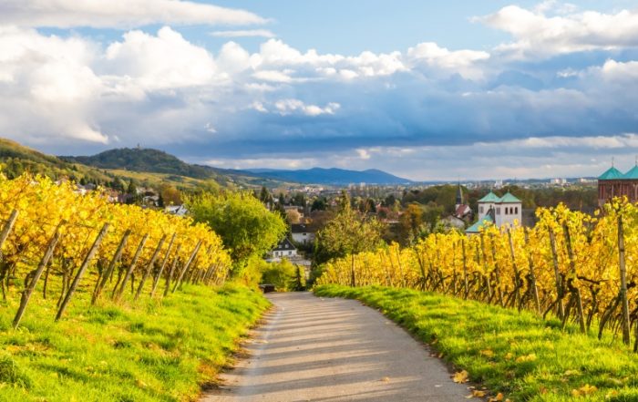 Hessische Bergstraße im Herbst