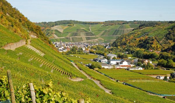 Genusstrip ins Weinbaugebiet Ahr im sonnigen Ahrtal | Der Varta-Führer Genusstrip ins Weinbaugebiet Ahr im sonnigen Ahrtal | Der Varta-Führer