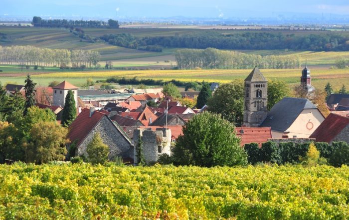 Dittelsheim
