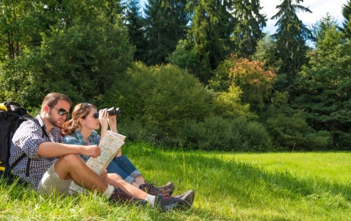 Rast auf einer Wiese