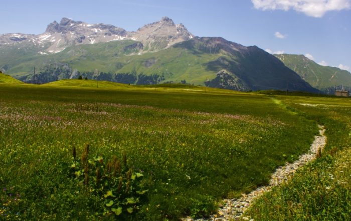 Wanderweg in Graubünden
