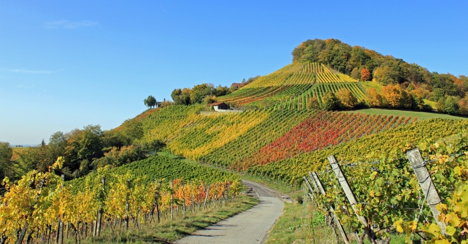 Herbststimmung: Weinberge im Handthal (Franken, Bayern)