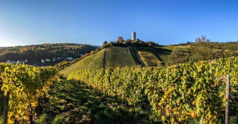 Genießen und Wandern im Weinbaugebiet Rheingau Der VartaFührer
