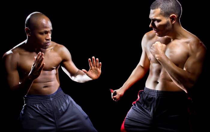 Kampfsport, Krav Maga