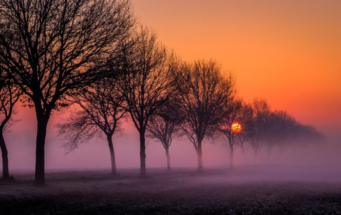 Nebliger Sonnenaufgang