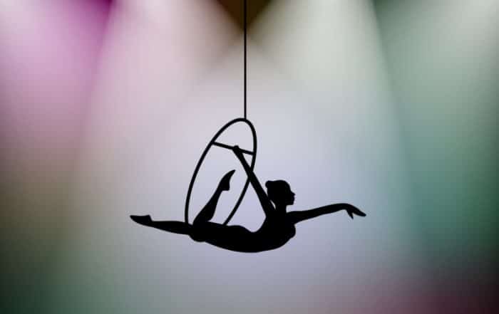 Aerial Hoop