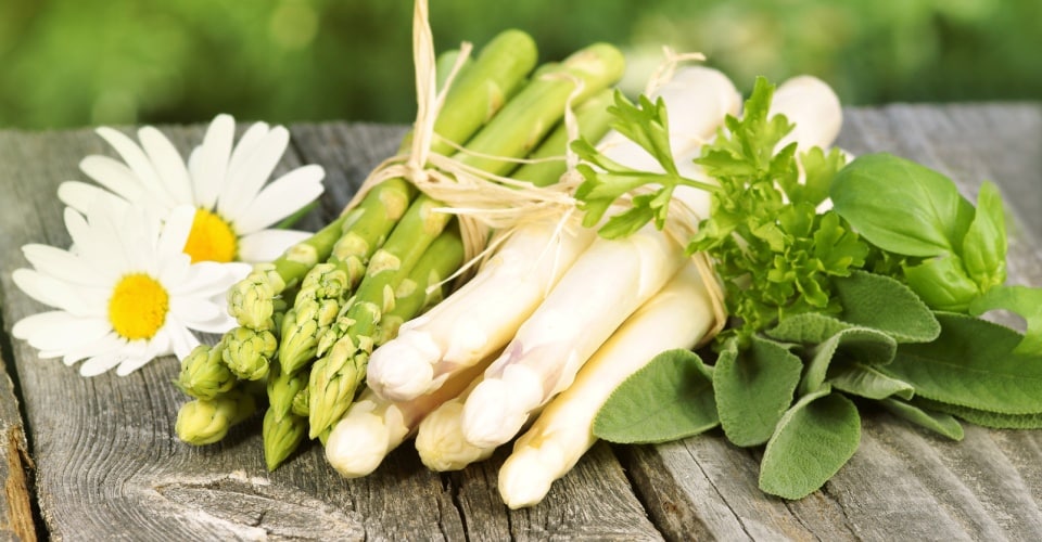 Dem Spargel Auf Der Spur Fruhling Ist Spargelzeit