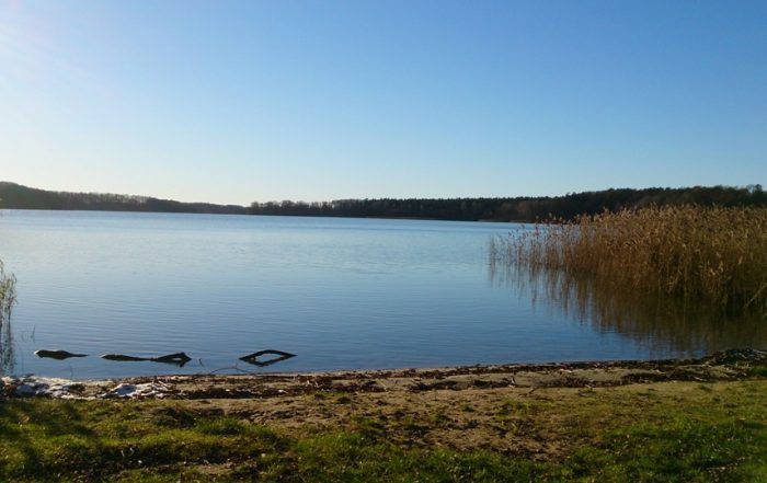 Dobbertiner See