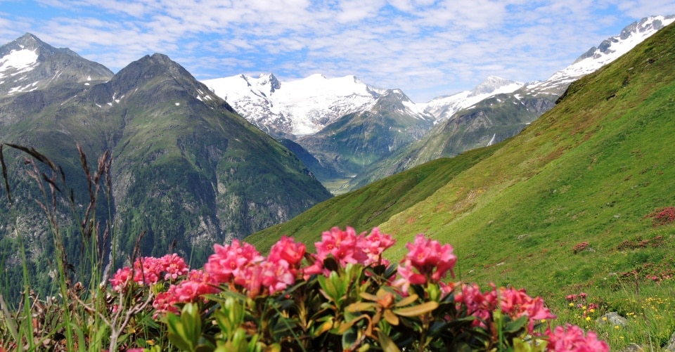 Im Nationalpark Hohe Tauern, Osttirol, Österreich