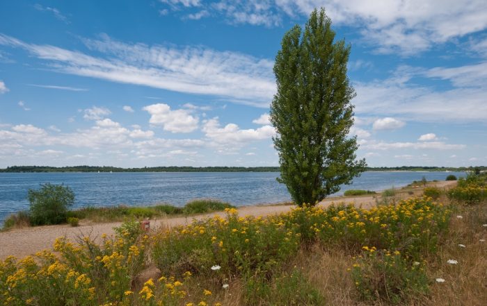 Cospudener See
