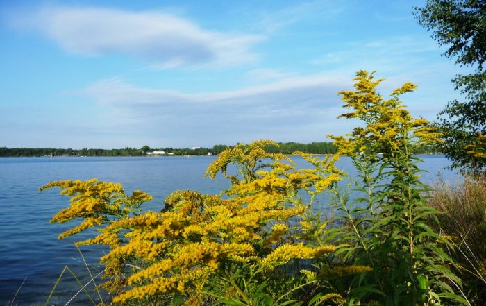 Kulkwitzer See