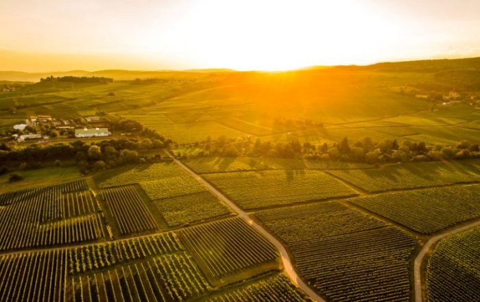 Sonnenuntergang im Rheingau von Moritz Nagel