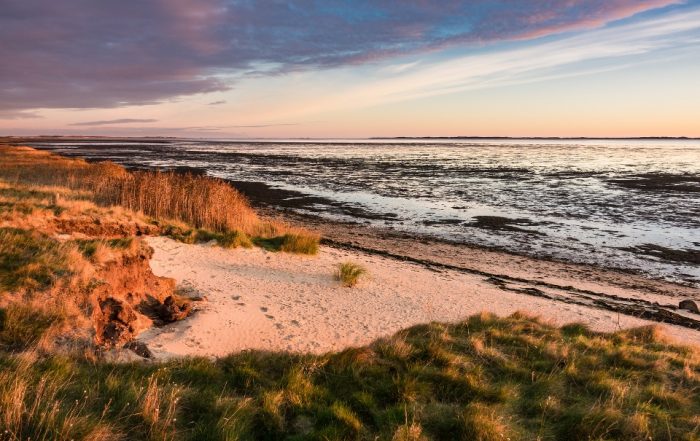 Küste Amrum