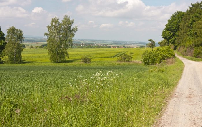 Landschaft am Elm, Elmkreisel