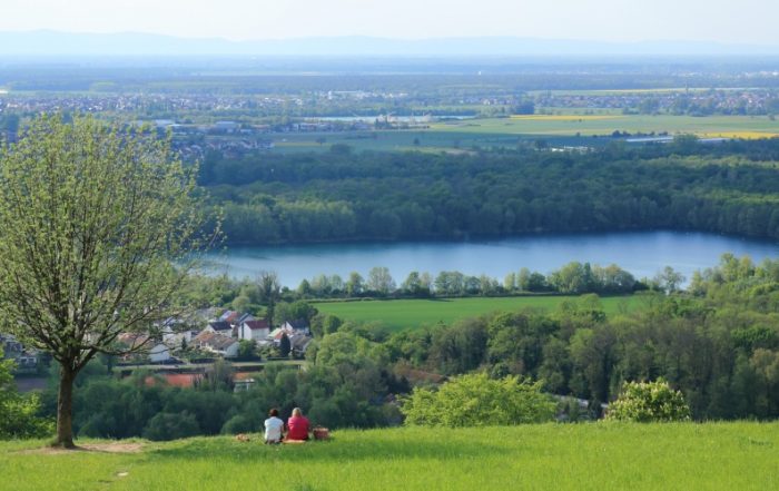 Blick vom Michaelsberg über Untergrombach