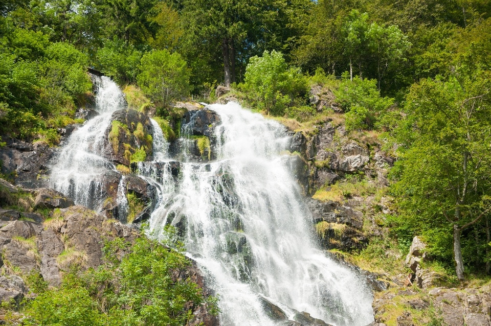 Todtnauer Wasserfälle, Todtnau
