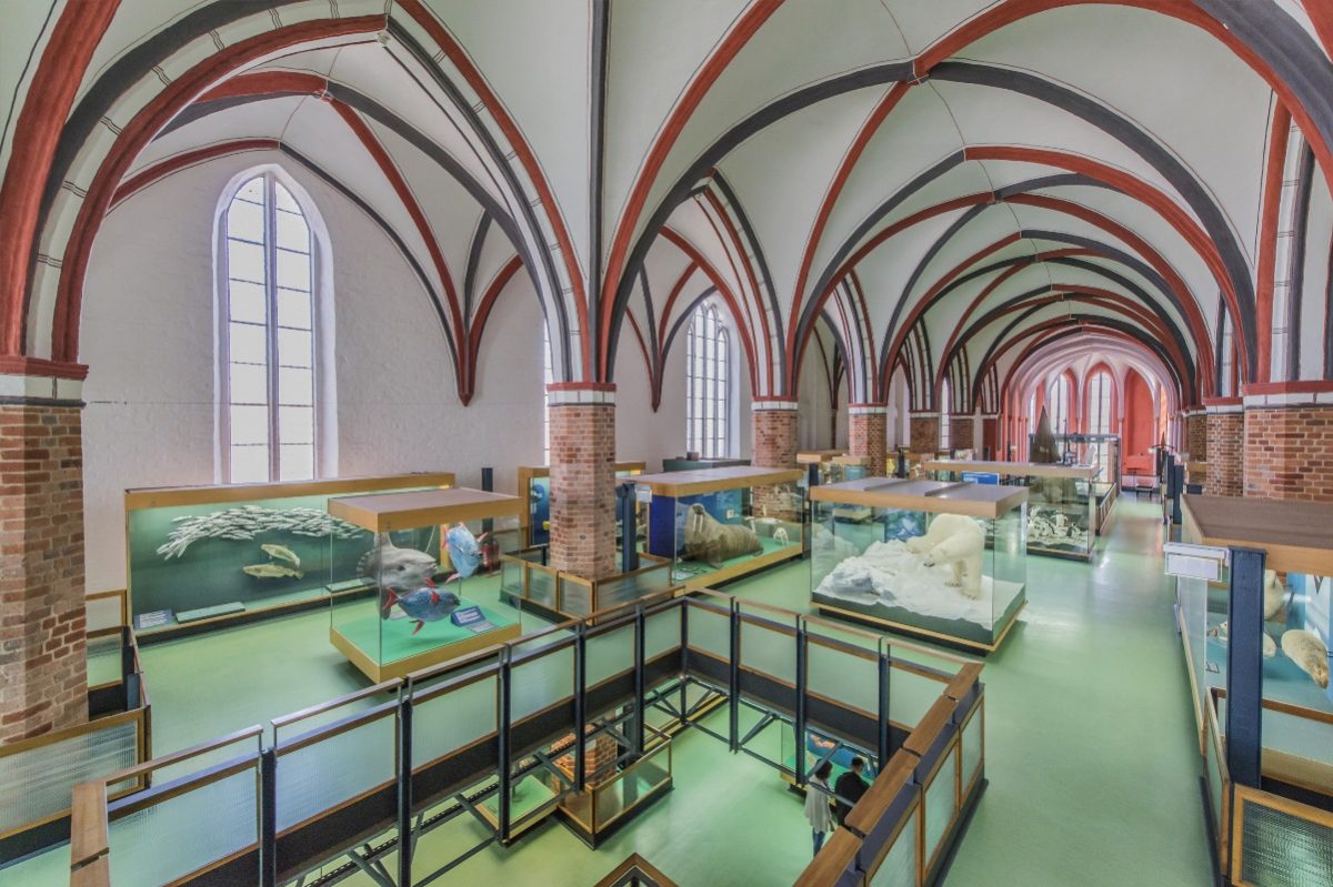 Wunderbar Meeresmuseum Stralsund Preise Bild