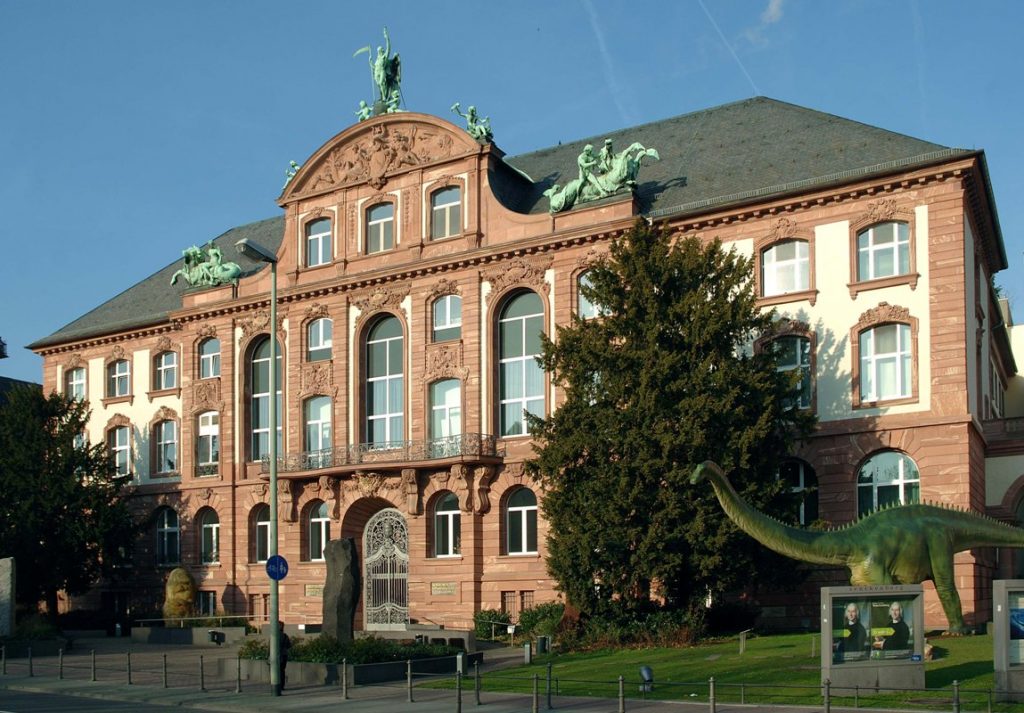 Das Senckenberg Museum in Frankfurt am Main