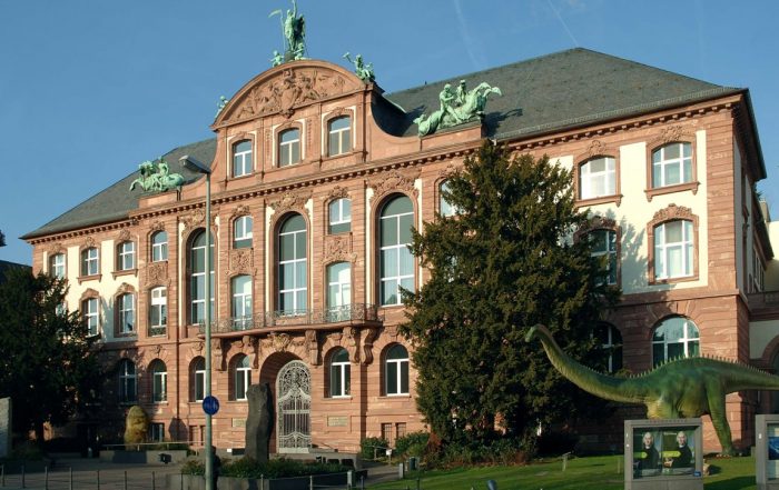 Senckenberg Museum