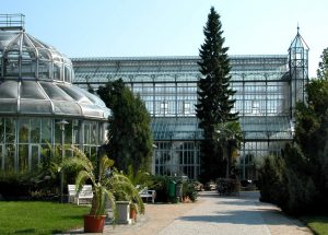 Der Botanische Garten Berlin, Gewächshäuser