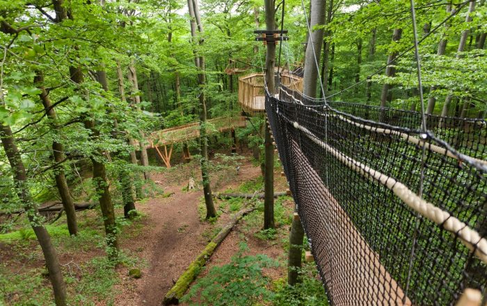 Baumkronenpfad am Hoherodskopf