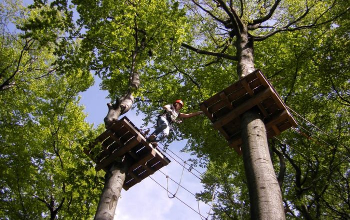 Kletterwald Hoherodskopf