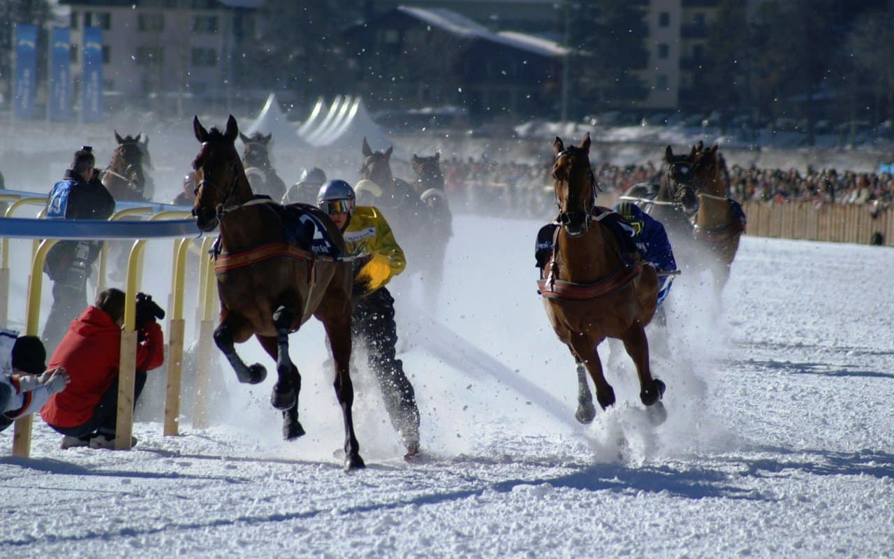 Skikjöring Pferderennen in St. Moritz