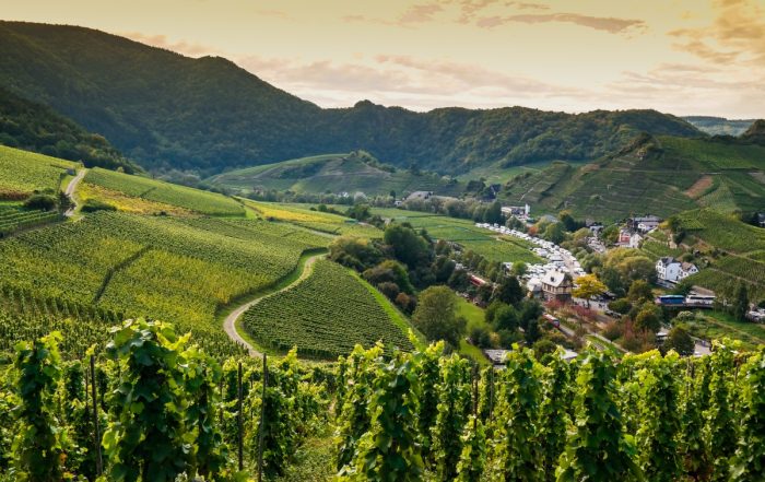 Blick ins Ahrtal - Ahrsteig