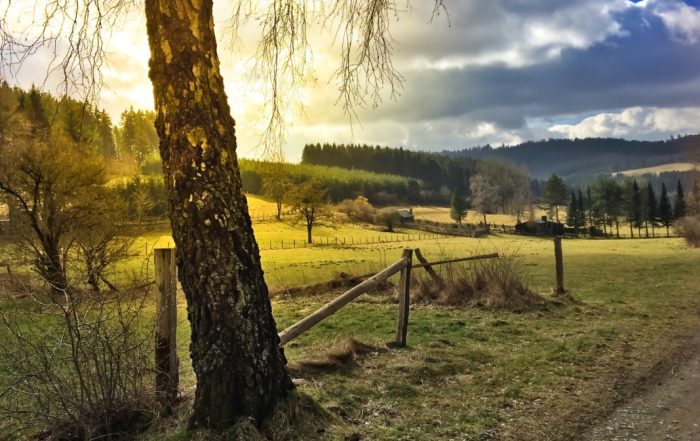 Landschaft bei Brilon - Rothaarsteig