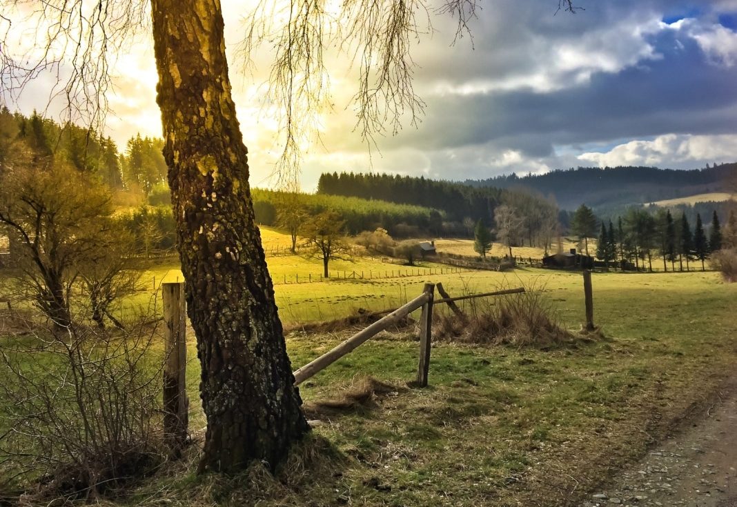 Landschaft bei Brilon - Rothaarsteig