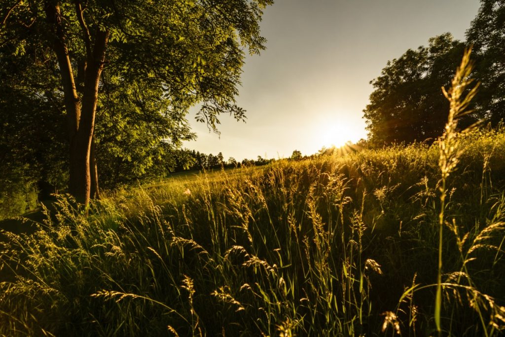 Das Vogtland: Im Land der Brücken und der Musik