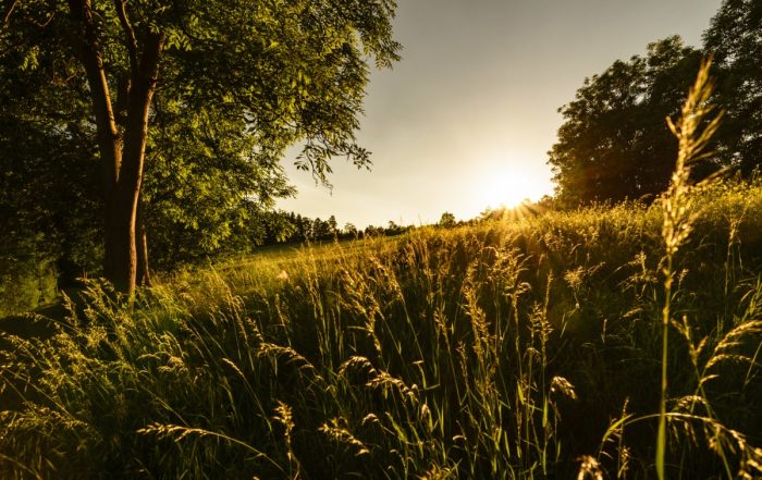 Landschaft im Vogtland - Vogtland Panorama Weg